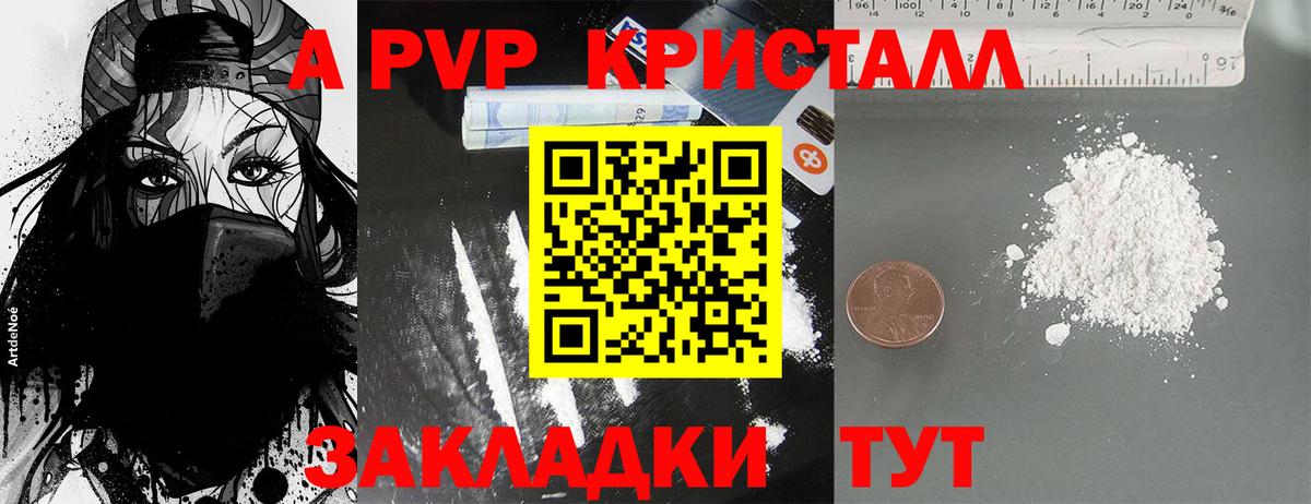 Alfa_PVP СК Грозный
