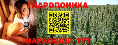 шишки Мариинск